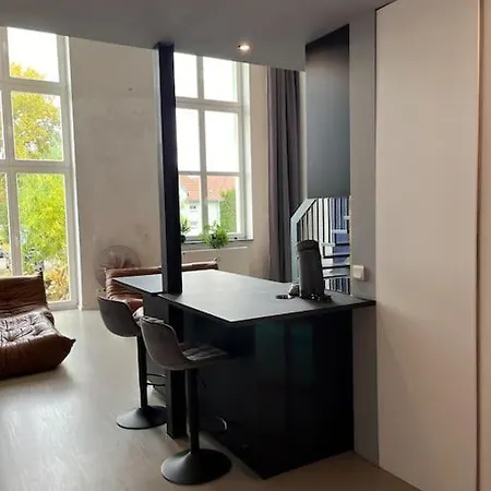 Duplex Loft Mit Garten Apartment Magdeburg