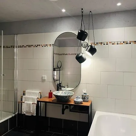 Apartment Duplex Loft Mit Garten Magdeburg