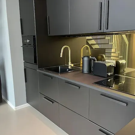 Duplex Loft Mit Garten * Magdeburg