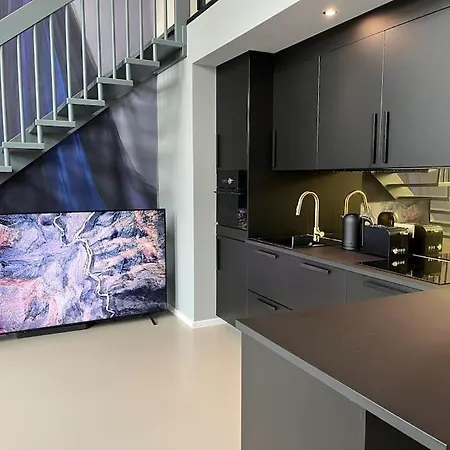 Duplex Loft Mit Garten * Magdeburg