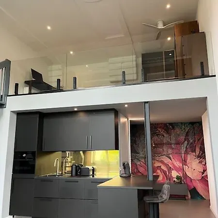Duplex Loft Mit Garten Apartment Magdeburg