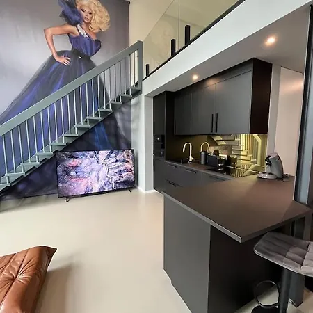 Apartment Duplex Loft Mit Garten *