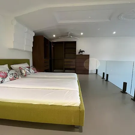 Apartment Duplex Loft Mit Garten Magdeburg