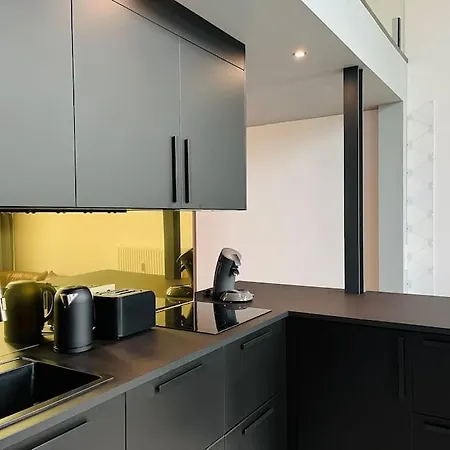 Apartment Duplex Loft Mit Garten