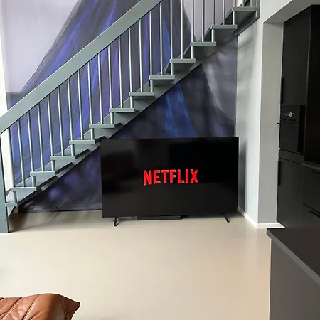 Duplex Loft Mit Garten شقة ماغديبورغ