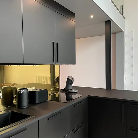 Duplex Loft Mit Garten