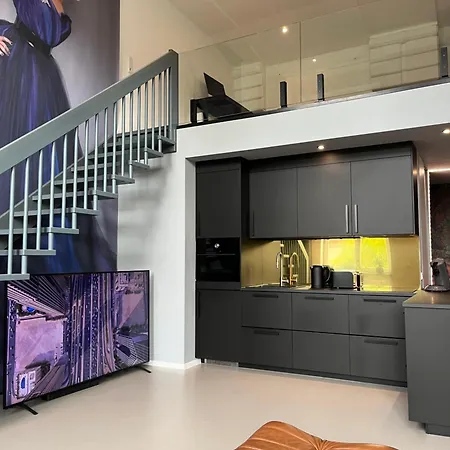 Lägenhet Duplex Loft Mit Garten Magdeburg