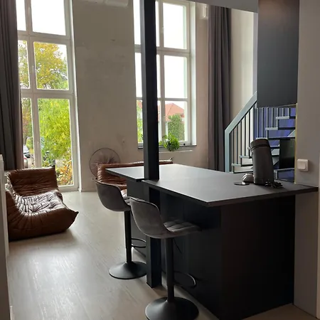 Duplex Loft Mit Garten شقة ماغديبورغ