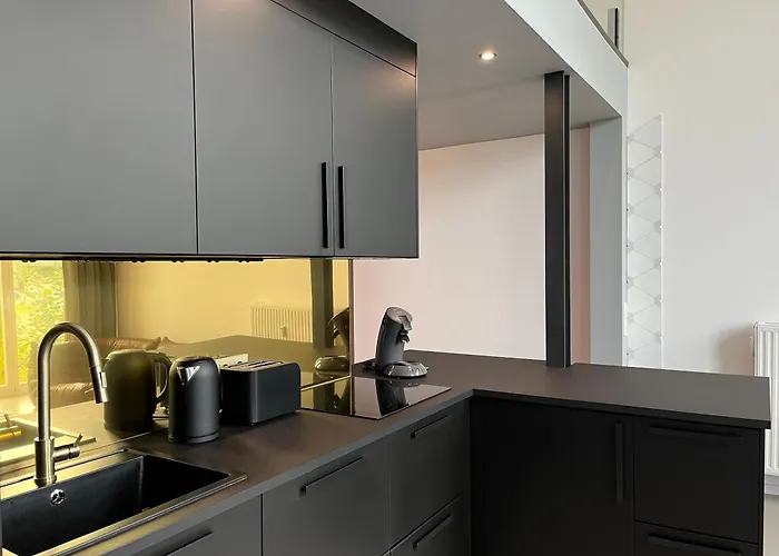 Duplex Loft Mit Garten