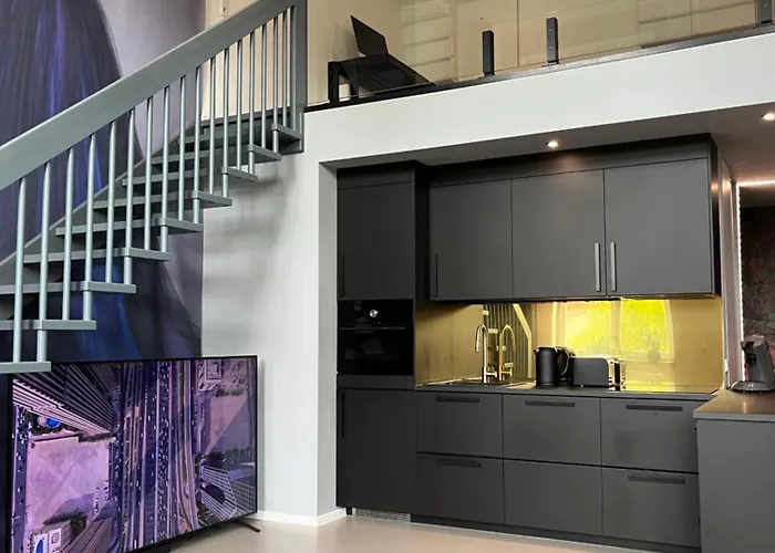 Lägenhet Duplex Loft Mit Garten Magdeburg