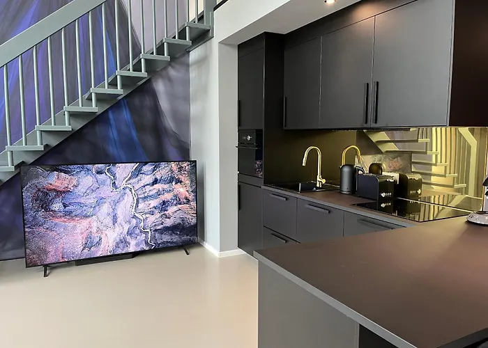 Duplex Loft Mit Garten Magdeburg